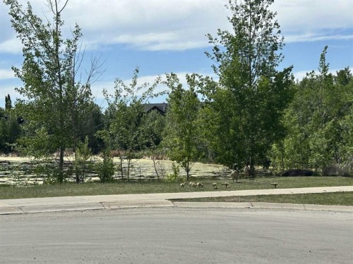 64 Rockyvale Drive Nw, Calgary, AB 