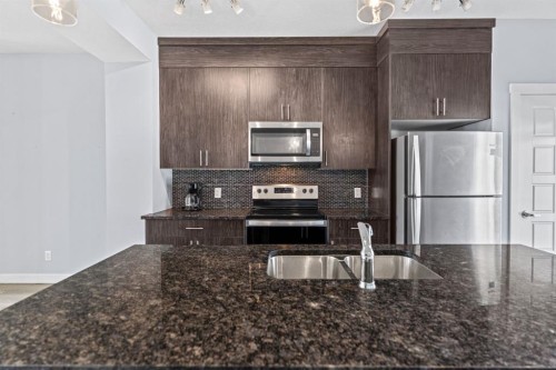 241 Livingston Common Ne, Calgary, AB - Indoor Photo Showing Kitchen With Double Sink With Upgraded Kitchen