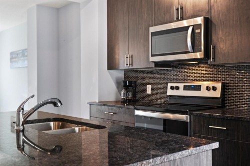 241 Livingston Common Ne, Calgary, AB - Indoor Photo Showing Kitchen With Double Sink With Upgraded Kitchen