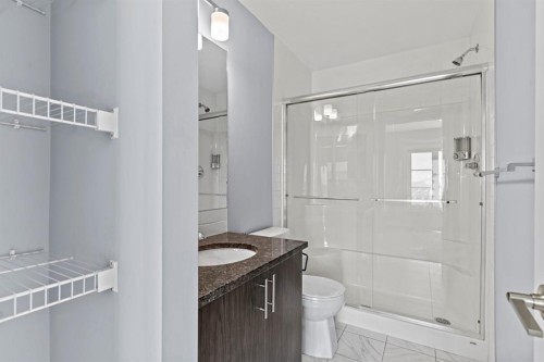 241 Livingston Common Ne, Calgary, AB - Indoor Photo Showing Bathroom