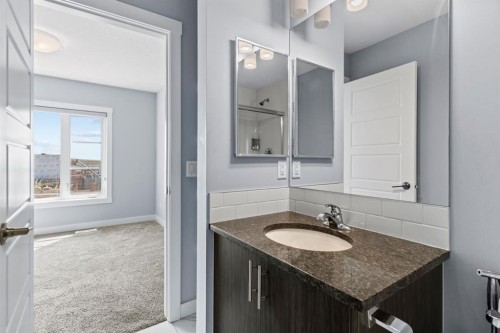241 Livingston Common Ne, Calgary, AB - Indoor Photo Showing Bathroom