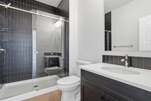 731 Langley Terrace Se, Airdrie, AB - Indoor Photo Showing Bathroom