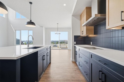 731 Langley Terrace Se, Airdrie, AB - Indoor Photo Showing Kitchen With Upgraded Kitchen