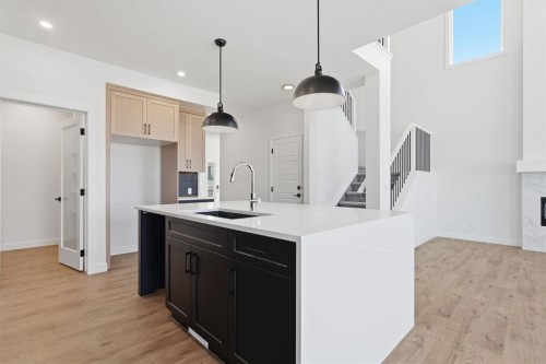 731 Langley Terrace Se, Airdrie, AB - Indoor Photo Showing Kitchen