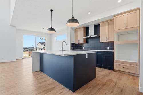 731 Langley Terrace Se, Airdrie, AB - Indoor Photo Showing Kitchen With Upgraded Kitchen