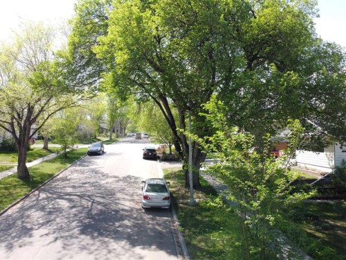 232 27 Avenue Nw, Calgary, AB - Outdoor
