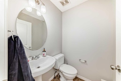 16 Skyview Springs Road Ne, Calgary, AB - Indoor Photo Showing Bathroom
