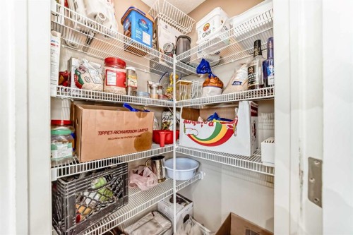 16 Skyview Springs Road Ne, Calgary, AB - Indoor