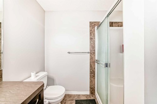 16 Skyview Springs Road Ne, Calgary, AB - Indoor Photo Showing Bathroom
