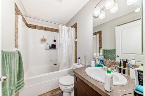16 Skyview Springs Road Ne, Calgary, AB - Indoor Photo Showing Bathroom