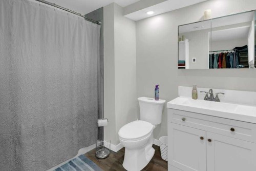 120 Alpine Crescent Se, Airdrie, AB - Indoor Photo Showing Bathroom