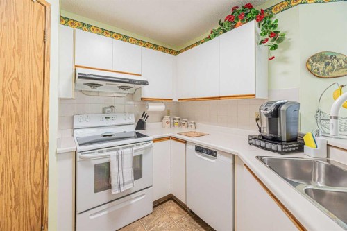 259 Carmel Close Ne, Calgary, AB - Indoor Photo Showing Kitchen With Double Sink