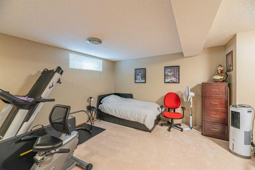 259 Carmel Close Ne, Calgary, AB - Indoor Photo Showing Gym Room