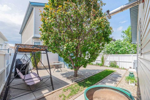 259 Carmel Close Ne, Calgary, AB - Outdoor