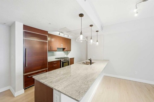 103-733 2 Avenue Sw, Calgary, AB - Indoor Photo Showing Kitchen With Double Sink With Upgraded Kitchen