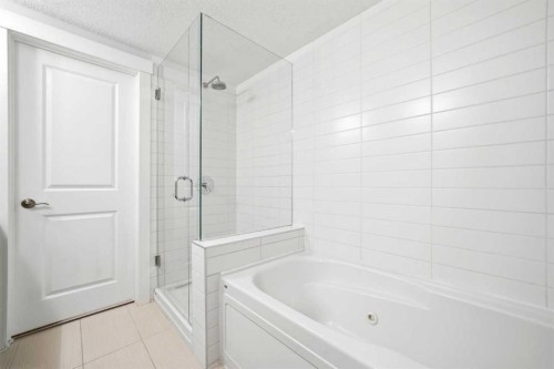 103-733 2 Avenue Sw, Calgary, AB - Indoor Photo Showing Bathroom