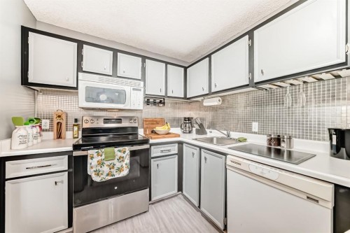 51 Cedar Springs Gardens Sw, Calgary, AB - Indoor Photo Showing Kitchen