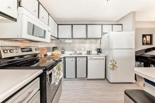 51 Cedar Springs Gardens Sw, Calgary, AB - Indoor Photo Showing Kitchen