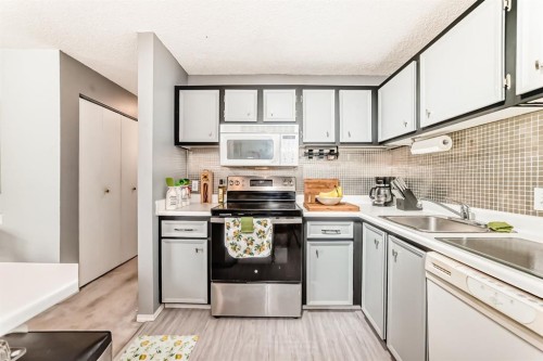 51 Cedar Springs Gardens Sw, Calgary, AB - Indoor Photo Showing Kitchen
