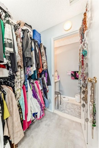 51 Cedar Springs Gardens Sw, Calgary, AB - Indoor With Storage