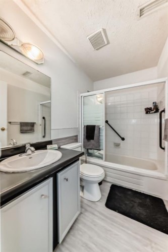 51 Cedar Springs Gardens Sw, Calgary, AB - Indoor Photo Showing Bathroom