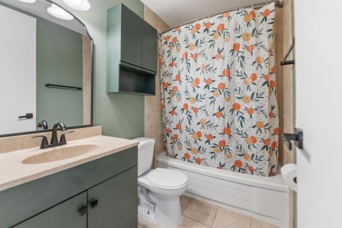 6795 Malvern Road Ne, Calgary, AB - Indoor Photo Showing Bathroom