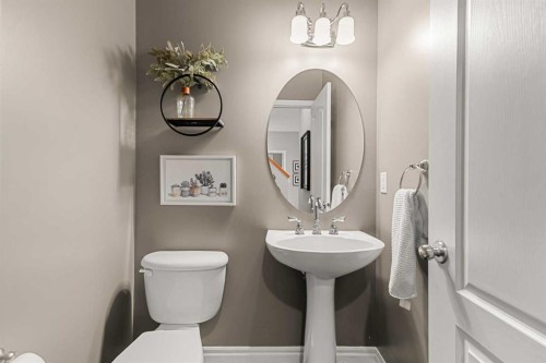 194 Brightonstone Bay Se, Calgary, AB - Indoor Photo Showing Bathroom