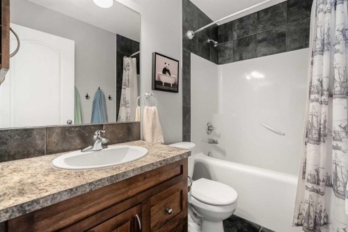 194 Brightonstone Bay Se, Calgary, AB - Indoor Photo Showing Bathroom