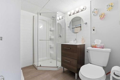 11 Macewan Park Heights Nw, Calgary, AB - Indoor Photo Showing Bathroom