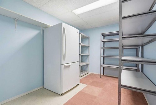 11 Macewan Park Heights Nw, Calgary, AB - Indoor