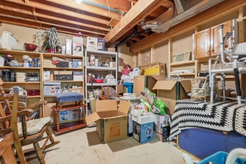 11 Macewan Park Heights Nw, Calgary, AB - Indoor Photo Showing Basement