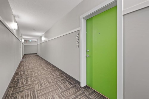 225-20 Seton Park Se, Calgary, AB 