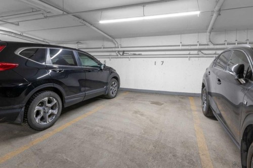 228-305 18 Avenue Sw, Calgary, AB - Indoor Photo Showing Garage
