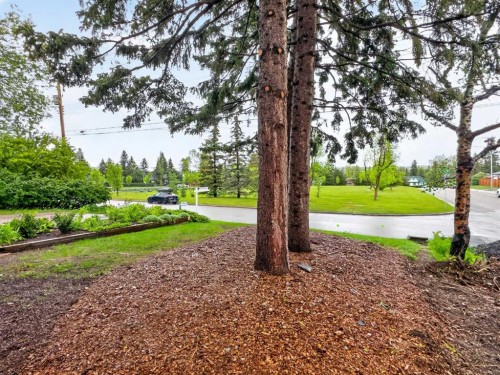 9007 33 Avenue Nw, Calgary, AB 