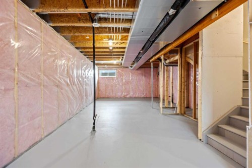 41 Hotchkiss Gardens Se, Calgary, AB - Indoor Photo Showing Basement