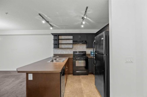 1213-310 Mckenzie Towne Gate Se, Calgary, AB 
