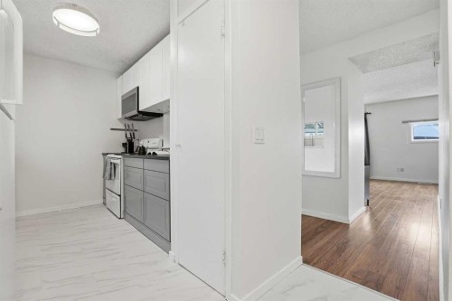 13-131 Templehill Drive NE Calgary, AB T1Y 4T1