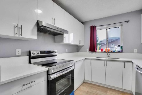 133 Martinglen Way Ne, Calgary, AB - Indoor Photo Showing Kitchen With Double Sink