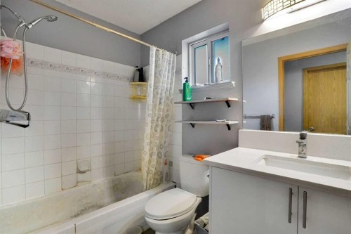 133 Martinglen Way Ne, Calgary, AB - Indoor Photo Showing Bathroom