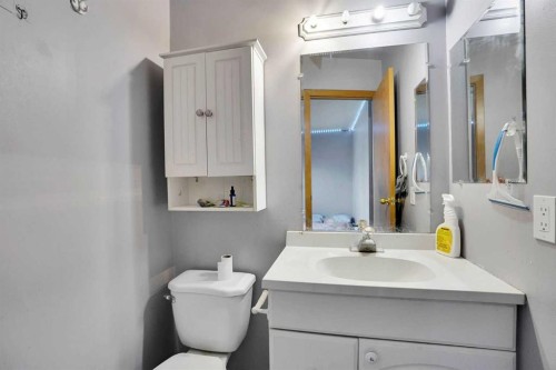 133 Martinglen Way Ne, Calgary, AB - Indoor Photo Showing Bathroom
