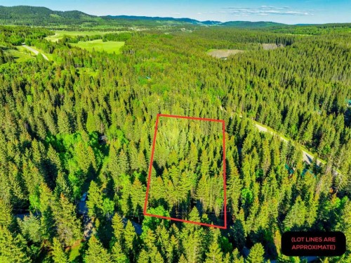 13 Chickadee Road, Waiparous, AB 