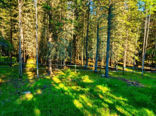 13 Chickadee Road, Waiparous, AB 