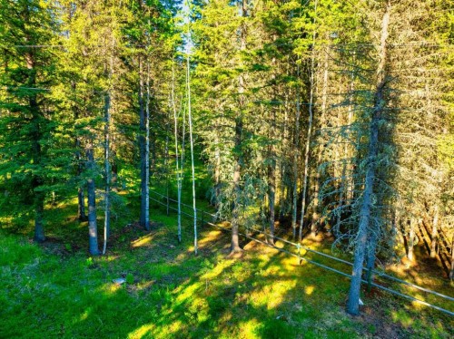 13 Chickadee Road, Waiparous, AB 