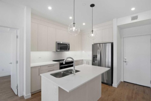 1314-6 Merganger Drive West, Chestermere, AB - Indoor Photo Showing Kitchen With Stainless Steel Kitchen With Double Sink With Upgraded Kitchen