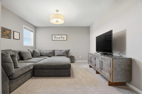 393 Masters Avenue Se, Calgary, AB - Indoor Photo Showing Living Room