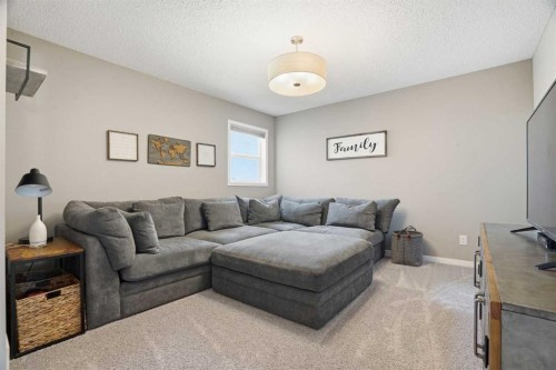 393 Masters Avenue Se, Calgary, AB - Indoor Photo Showing Living Room