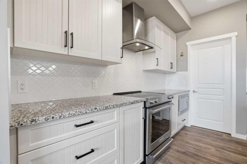 393 Masters Avenue Se, Calgary, AB - Indoor Photo Showing Kitchen With Upgraded Kitchen