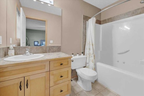 917 High Park Way Nw, High River, AB - Indoor Photo Showing Bathroom
