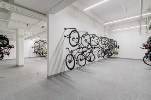 717-8505 Broadcast Avenue Sw, Calgary, AB - Indoor Photo Showing Garage