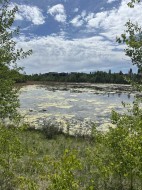 284 Rock Lake Drive NW Calgary, AB T3G 5Z4